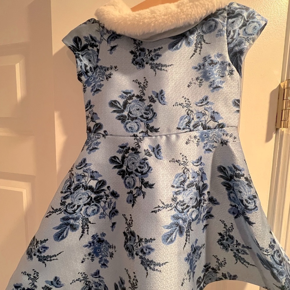 Floral Blue Dress with Faux Fur Collar